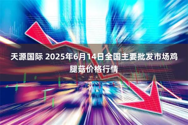 天源国际 2025年6月14日全国主要批发市场鸡腿菇价格行情